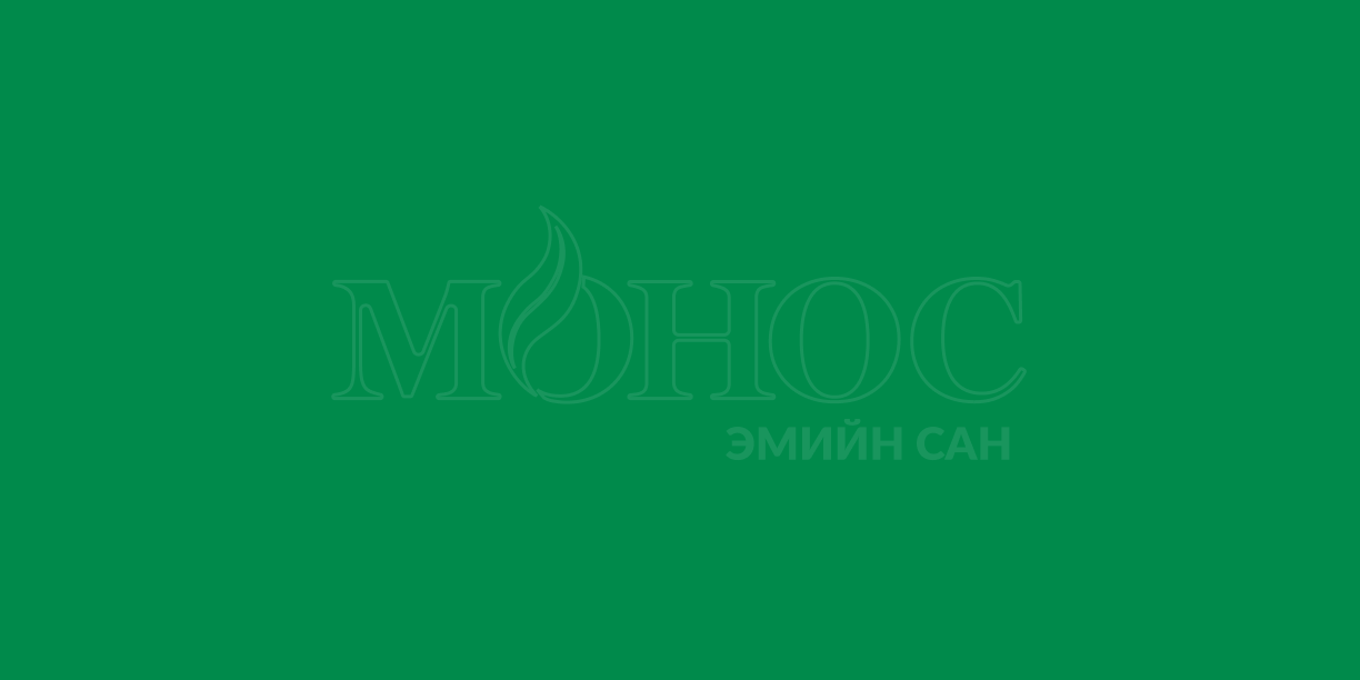 Монос - Хэрлэн Багануур ЭС